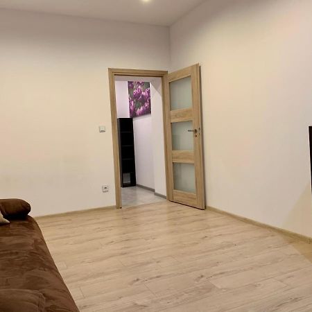 Felicjanek Apartment クラクフ エクステリア 写真